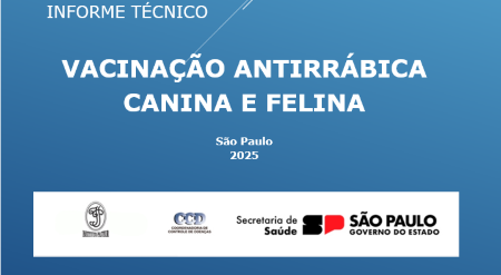 Informe técnico