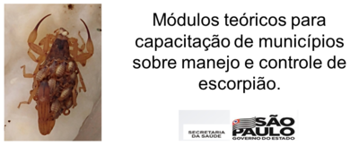 Módulos teóricos para capacitação de municípios sobre manejo e controle de escorpião